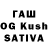 Псилоцибиновые грибы Magic Shrooms Alvia Novitasari