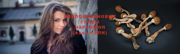 твердый Алзамай