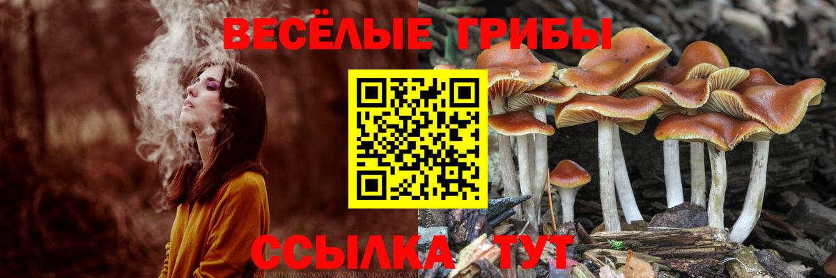 Галлюциногенные грибы ЛСД  Вход с VPN  Мичуринск 